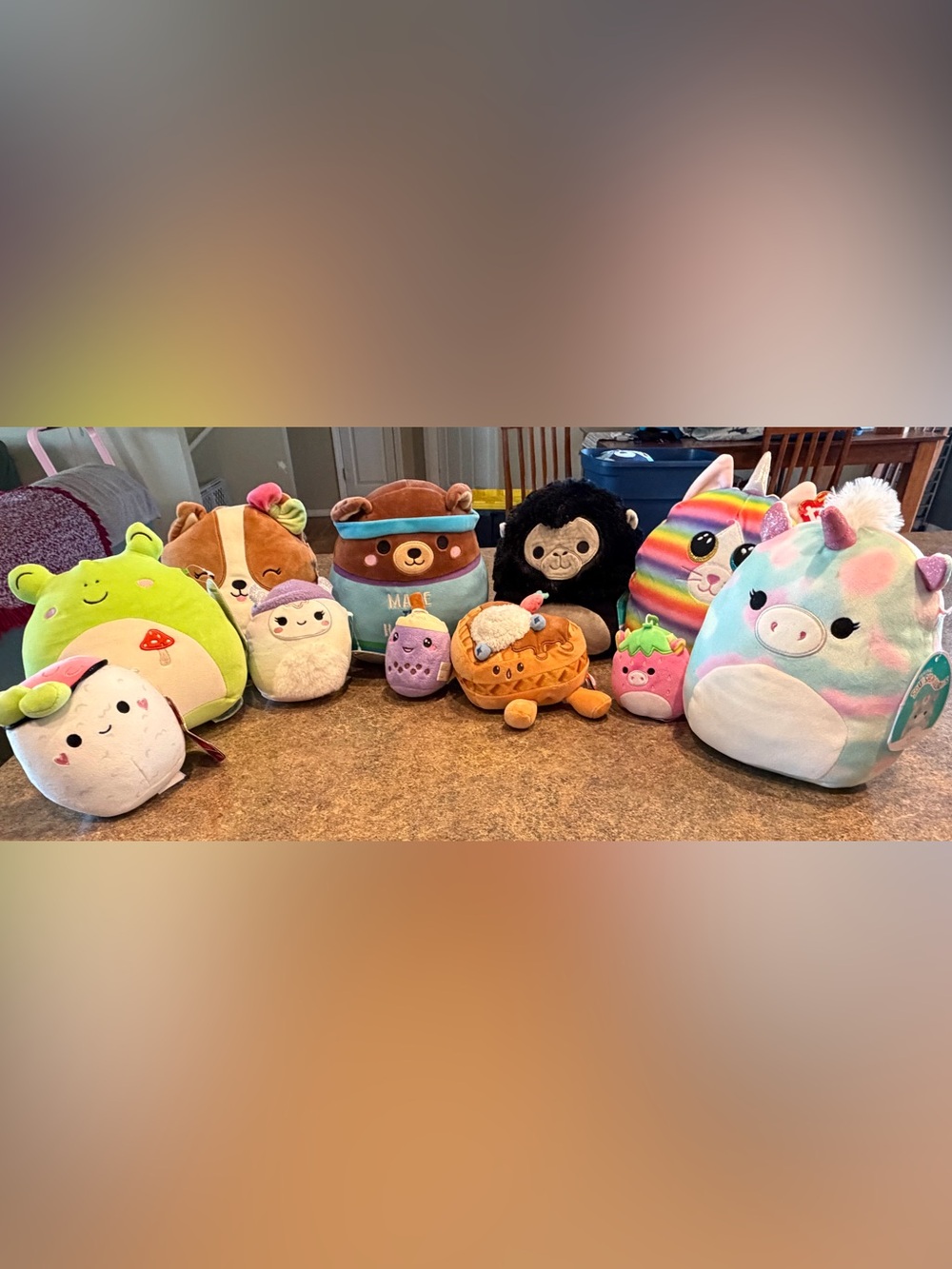 Squishmallow bundle ( 11 stuffed animals)